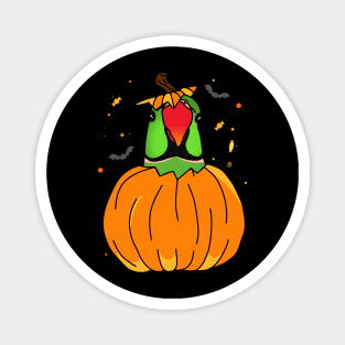 Halloween Green Indian Ringneck Pumpkin Magnet